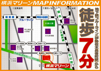 横浜マリーン画像2